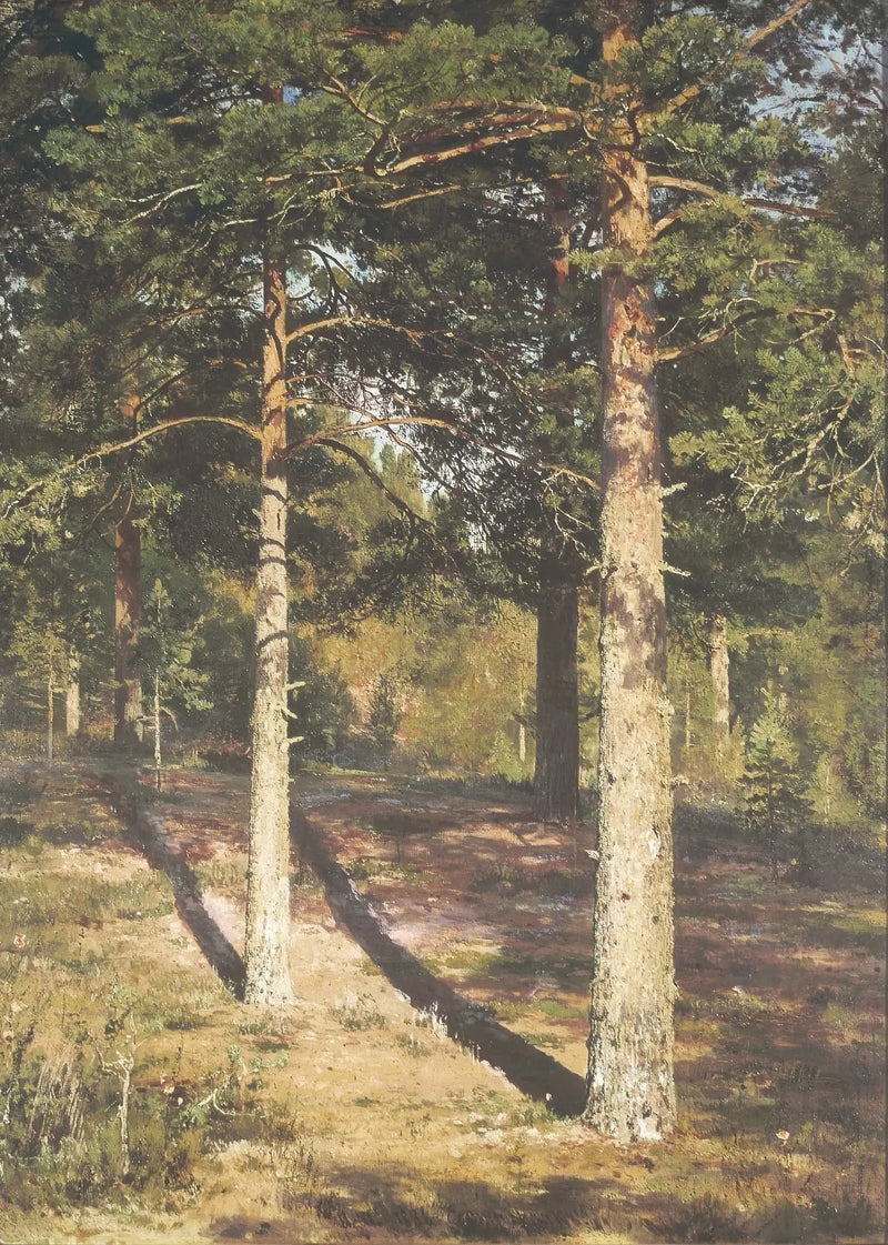 Auringonpaisteiset mäntymetsät - Ivan Chichkine