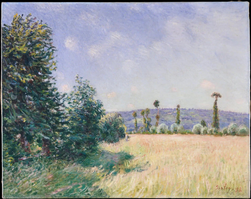 Sahurin niityt aamun auringossa - Alfred Sisley