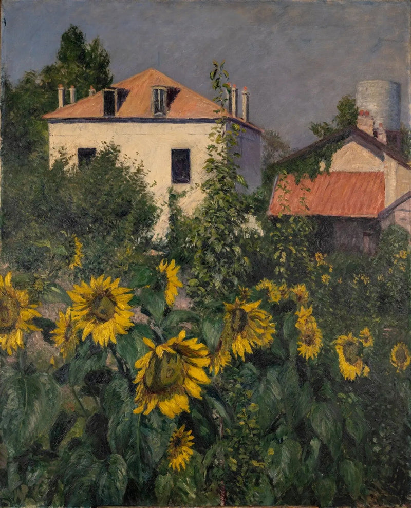 Auringot, Petit Gennevilliersin puutarha - Gustave Caillebotte