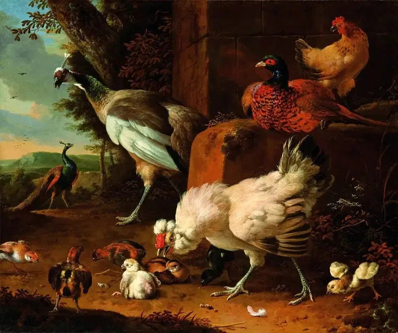 Kotieläinlinnut, mukaan lukien metsäkanalinnut, fasaani ja pavut. - Melchior de Hondecoeter