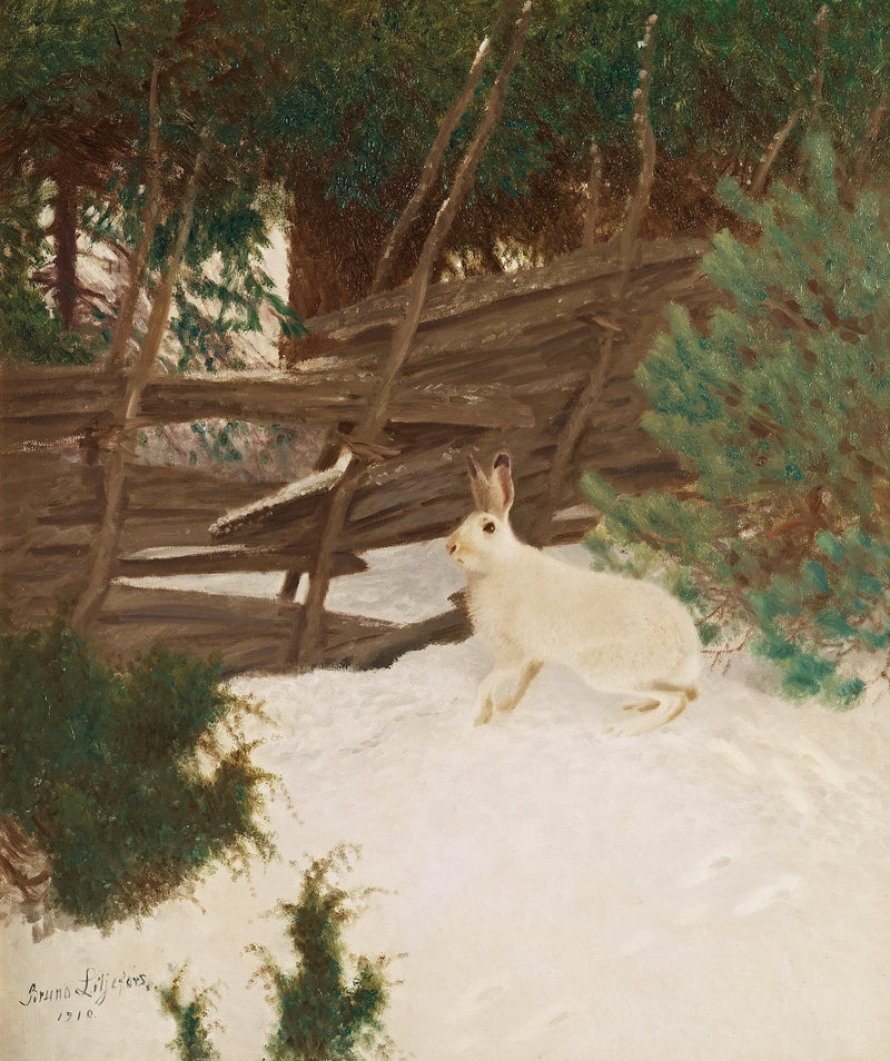 Talvijänis - Bruno Liljefors