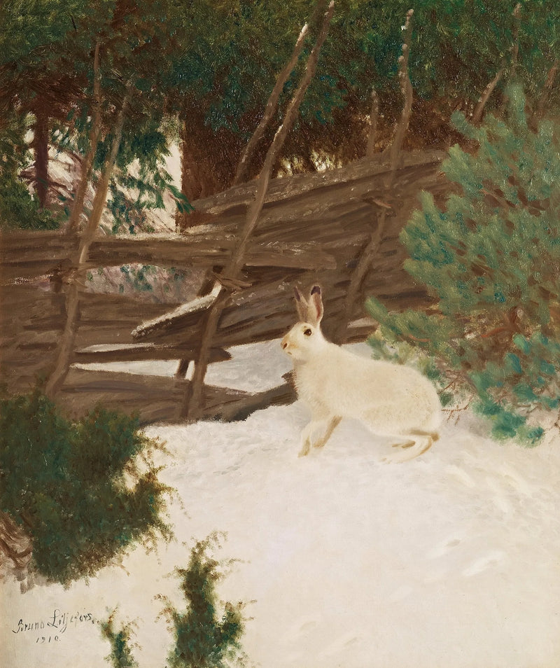 Talvijänis - Bruno Liljefors