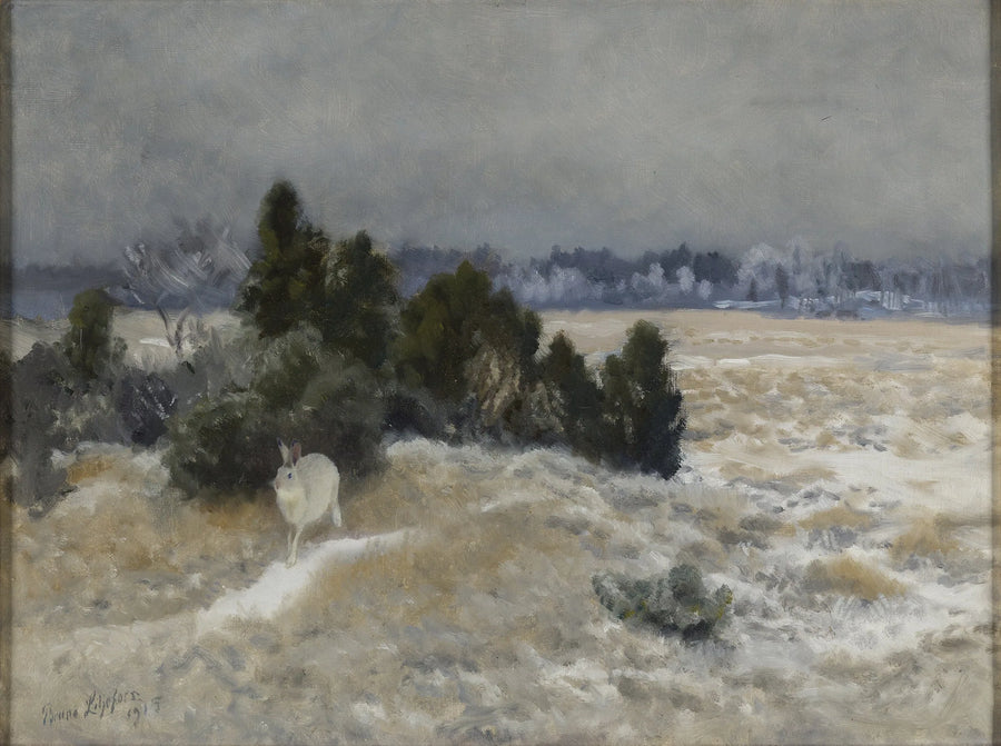 Talvijänis - Bruno Liljefors