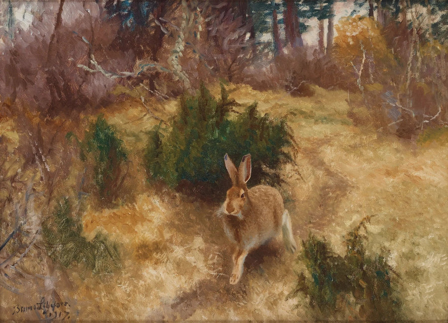 Jänis syysmaisemassa - Bruno Liljefors