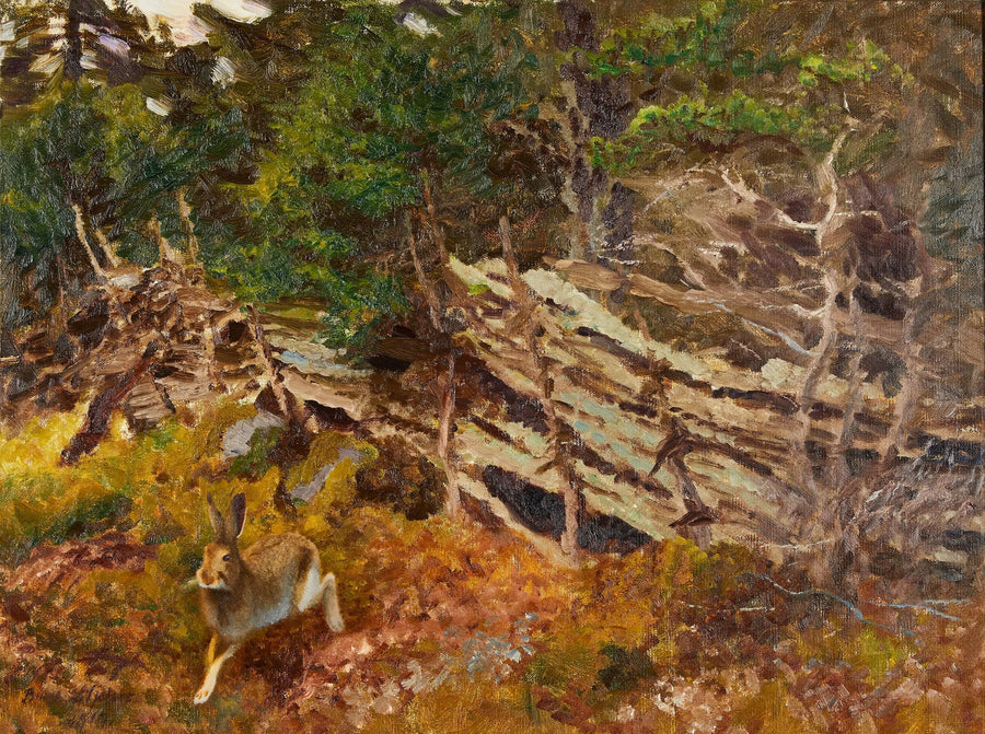 Jänis metsämaisemassa - Bruno Liljefors