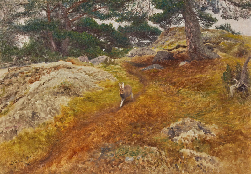 Jänis metsämaisemassa - Bruno Liljefors