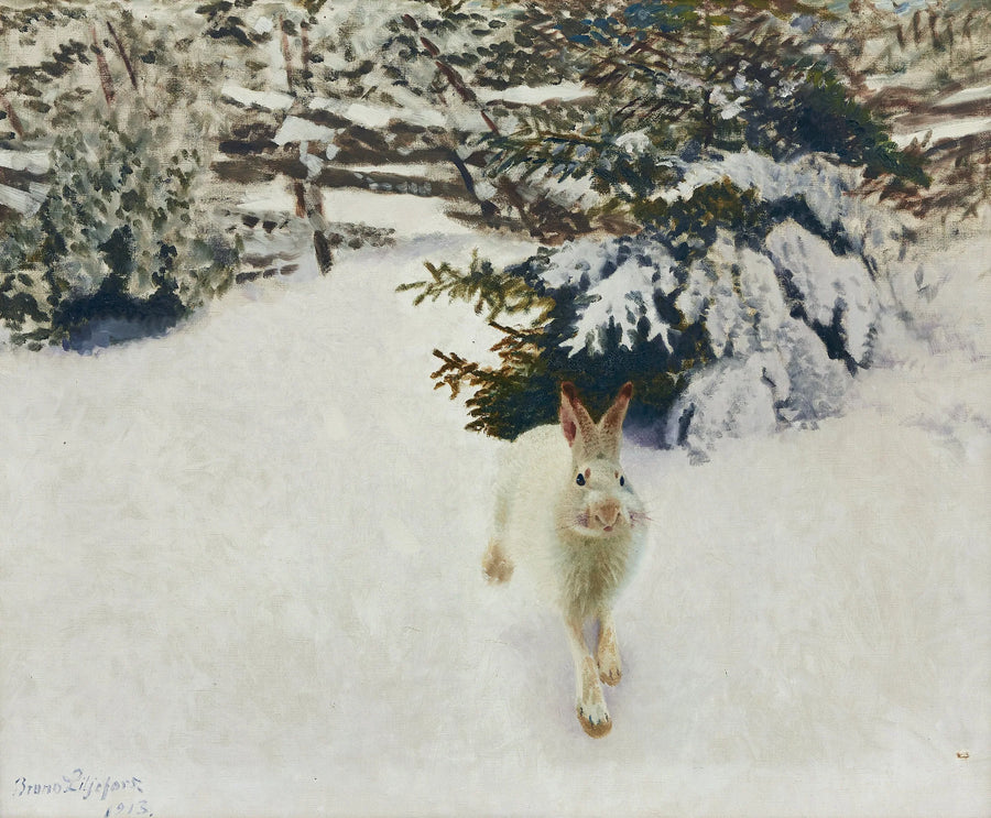 Jänis talvimaisemassa - Bruno Liljefors