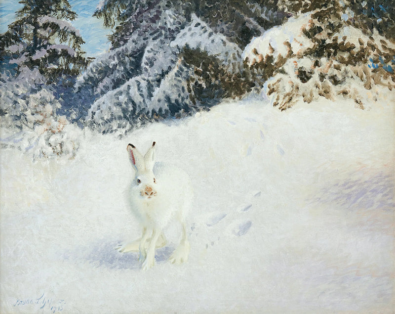 Jänis talvimaisemassa - Bruno Liljefors