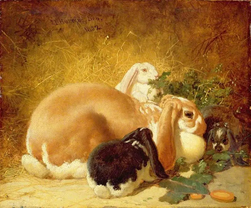 Belgialaiset jänikset - John Frederick Herring, Sr.