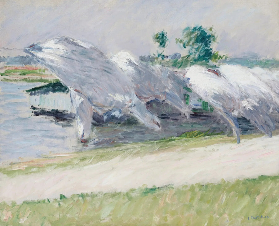 Kuivausliina, Petit Gennevilliers - Gustave Caillebotte