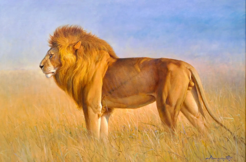 Leijona savannilla | 150 x 100 cm
