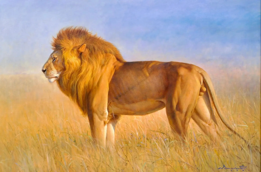 Leijona savannilla | 150 x 100 cm