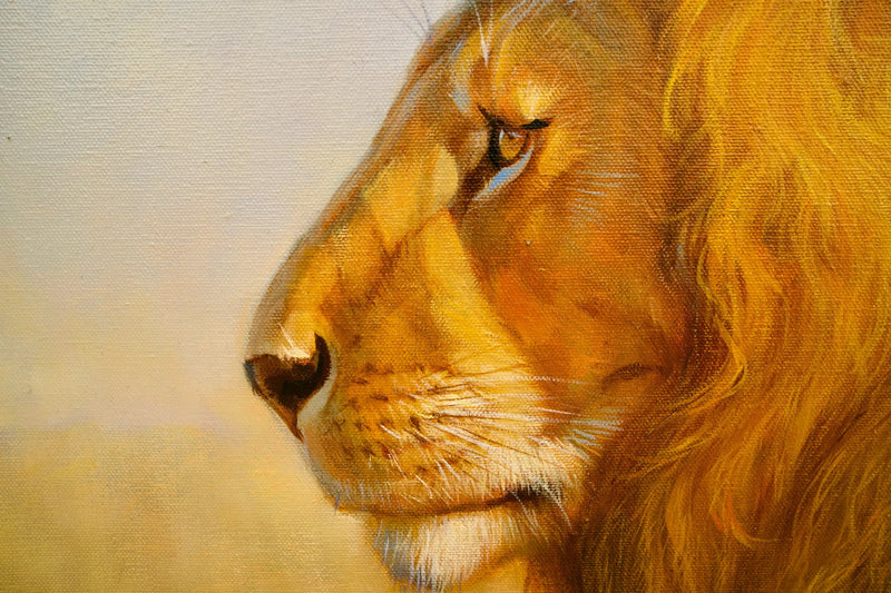 Leijona savannilla | 150 x 100 cm