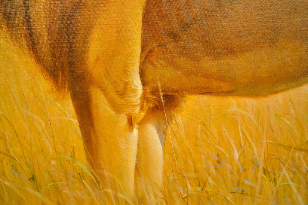 Lion dans la savane | 150 x 100 cm Reproductions de tableaux à la peinture à l’huile