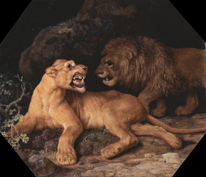 Leijona ja Leijona - George Stubbs