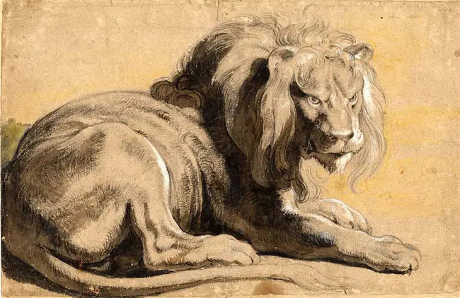 Leijona - Peter Paul Rubens
