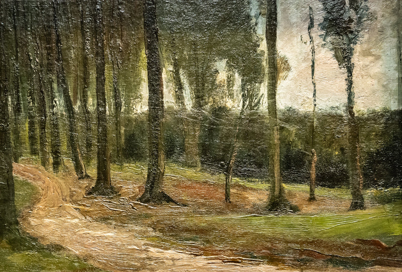 metsän reuna - Vincent van Gogh
