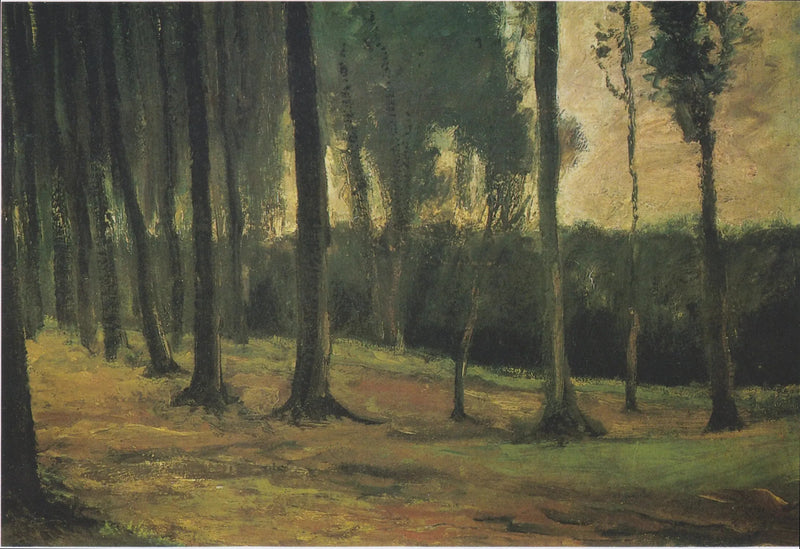 metsän reuna - Vincent van Gogh