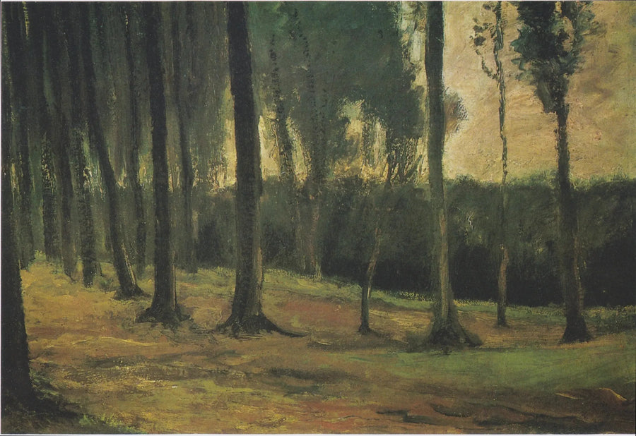 metsän reuna - Vincent van Gogh