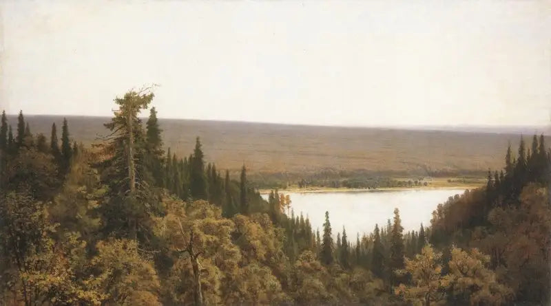 Rikas metsä (kuusimetsä Kama) - Ivan Chichkine