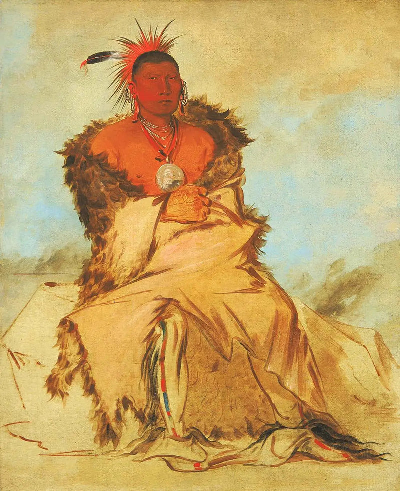 Loo-rá-wée-re-coo, Lintu, joka lähtee sotaan, yksi Tapage Pawnee - George Catlin