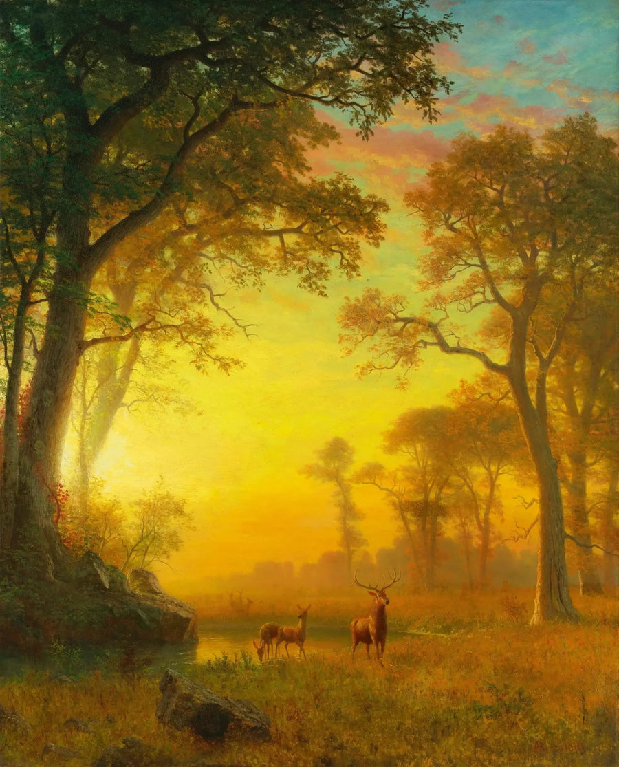 Valo metsässä - Albert Bierstadt