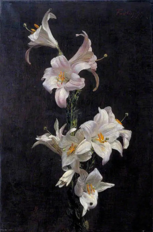 Valkoiset liljat - Henri Fantin-Latour