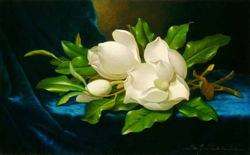 Suuret magnoliat sinisellä sametilla - Martin Johnson Heade
