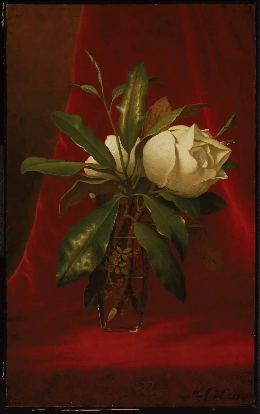 Magnolias - Martin Johnson Heade image 1 tableau peint à l’huile sur toile