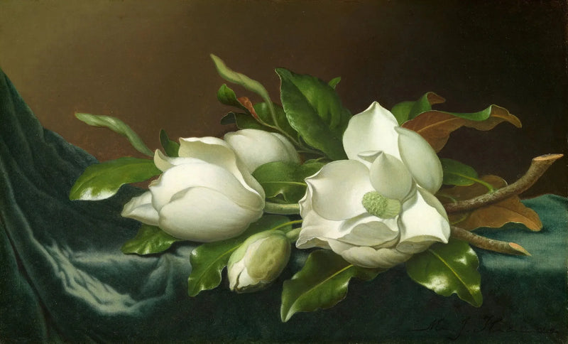 Magnoliat vaaleansinisellä samettikankaalla - Martin Johnson Heade