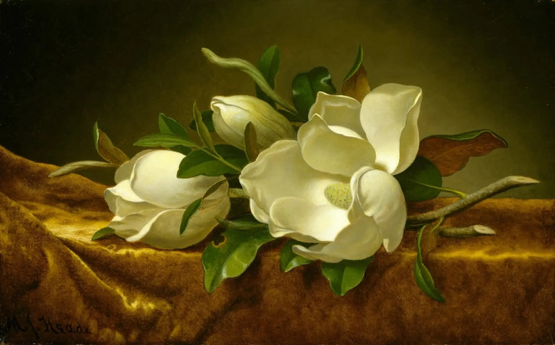 Magnoliat kultaisen sametin kankaalla - Martin Johnson Heade