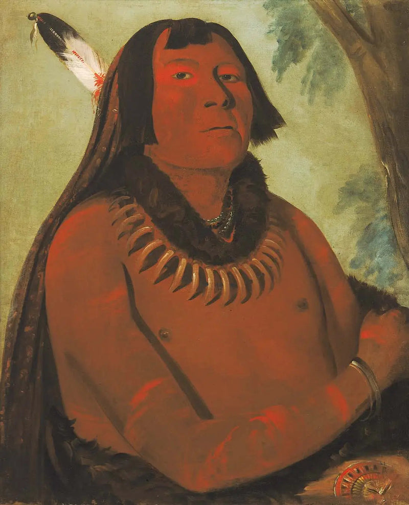 Mah-táhp-ta-a, syöksyy keskelle, rohkea - George Catlin