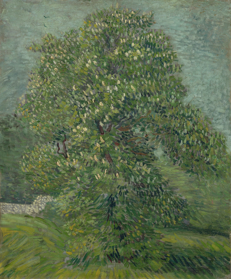 Intian kastanjapuu kukassa - Vincent van Gogh