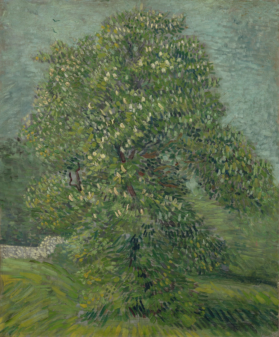 Intian kastanjapuu kukassa - Vincent van Gogh