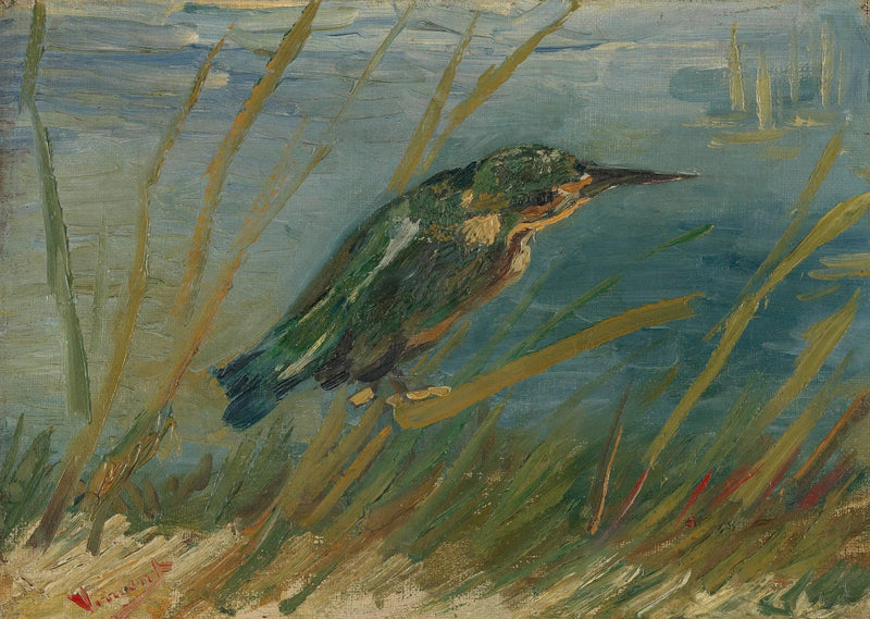 Järripeippo veden rannalla - Vincent van Gogh