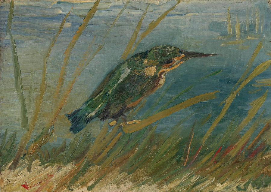 Järripeippo veden rannalla - Vincent van Gogh