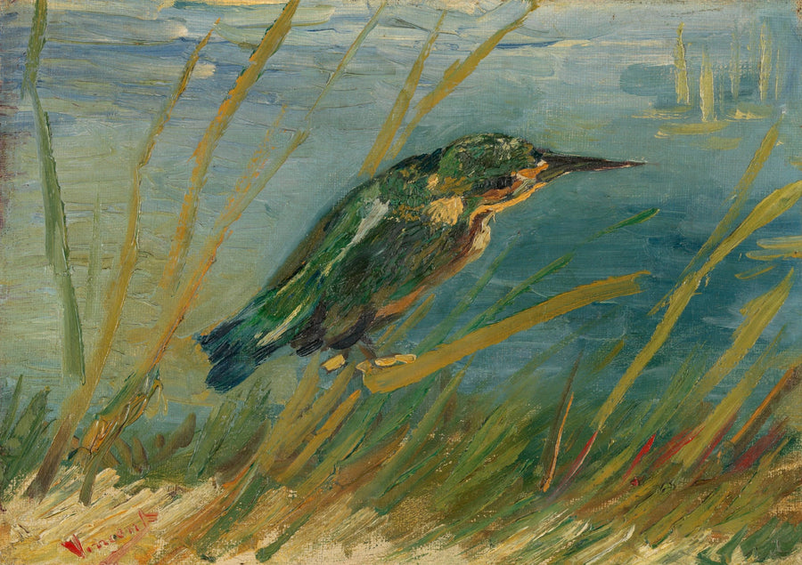 Järripeippo veden rannalla - Vincent van Gogh