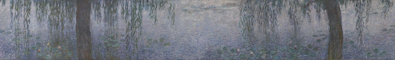 Nymfit - Kirkas Aamu ja Pajuja - Claude Monet