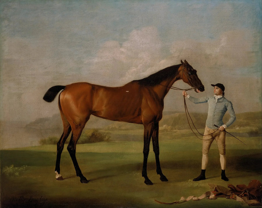 Molly pitkät jalat ja hänen ratsastajansa - George Stubbs