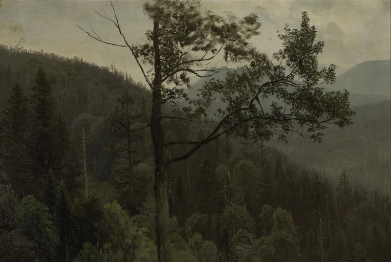 Vuoret, jotka on peitetty puilla - Albert Bierstadt