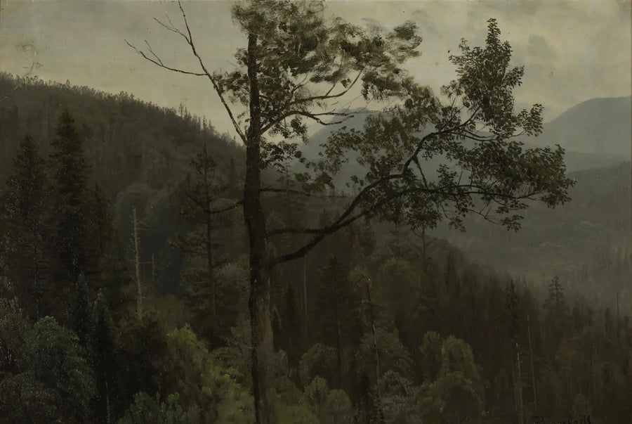 Vuoret, jotka on peitetty puilla - Albert Bierstadt