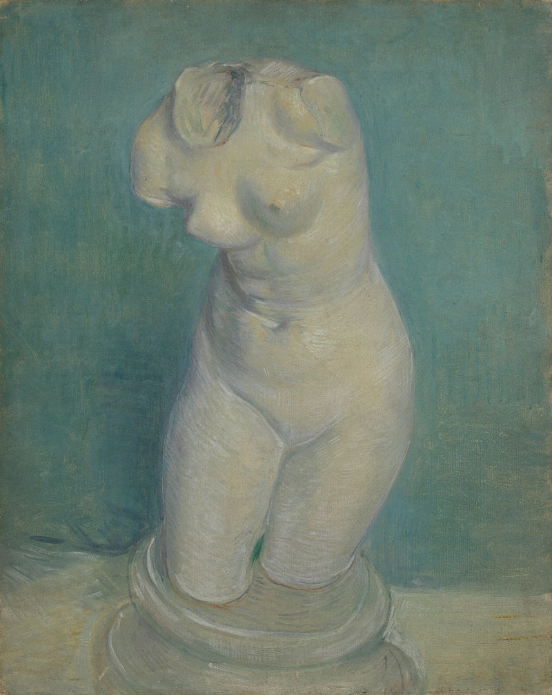 Naisten rintakehän gipsivalu - Vincent van Gogh