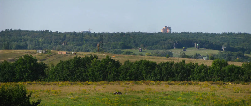 Tuulimylly pellolla - Ivan Chichkine