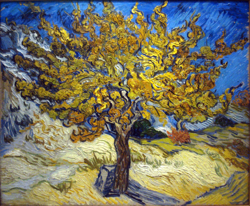 Morus - Vincent van Gogh