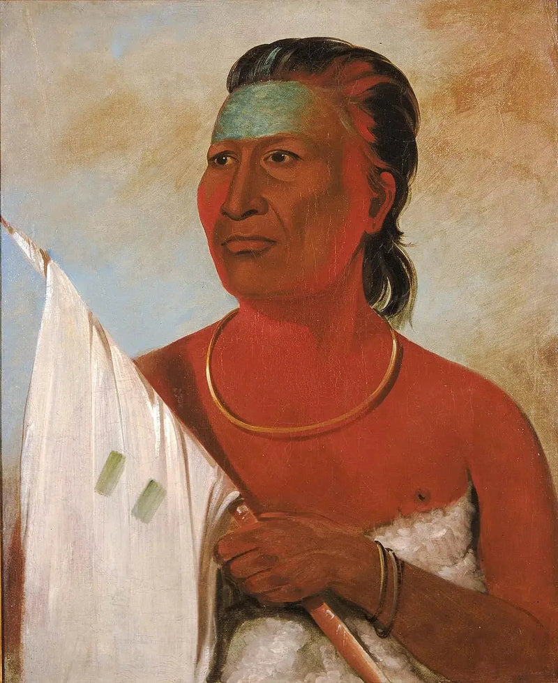Náh-pope, Keitto, Black Hawk - George Catlinin neuvonantaja