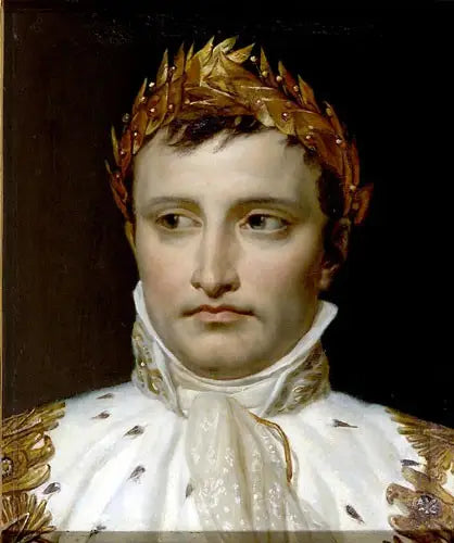 Napoleon, kruunupää - Jacques-Louis David