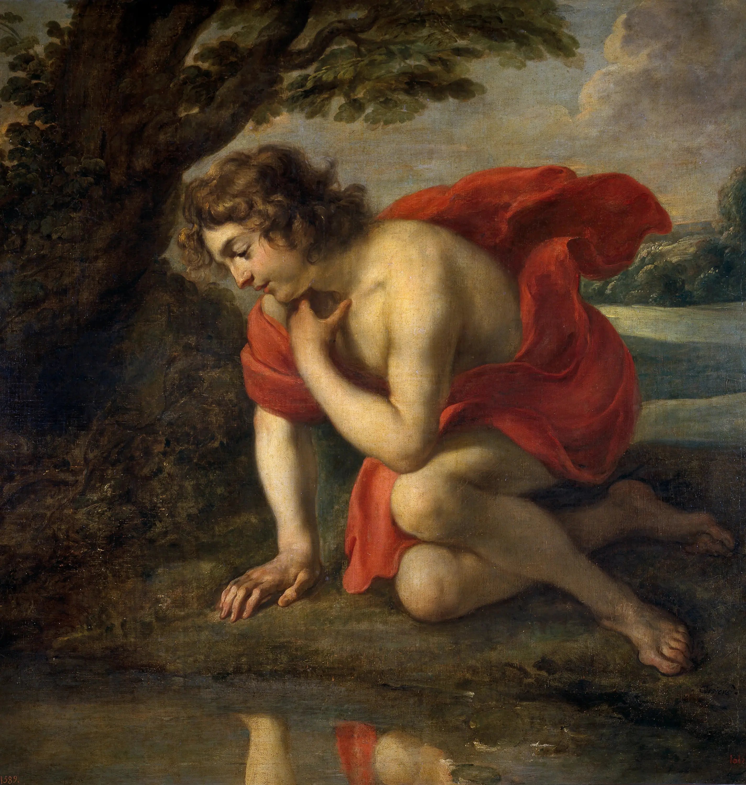 Narcisse - Peter Paul Rubens image 1 tableau peint à l’huile sur toile