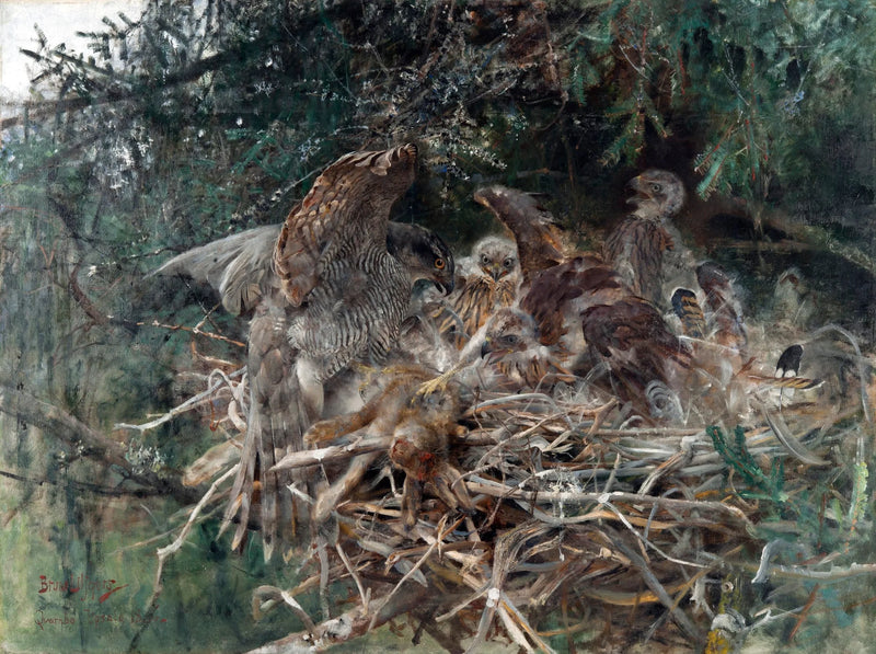 Falcon's Nest - Bruno Liljefors