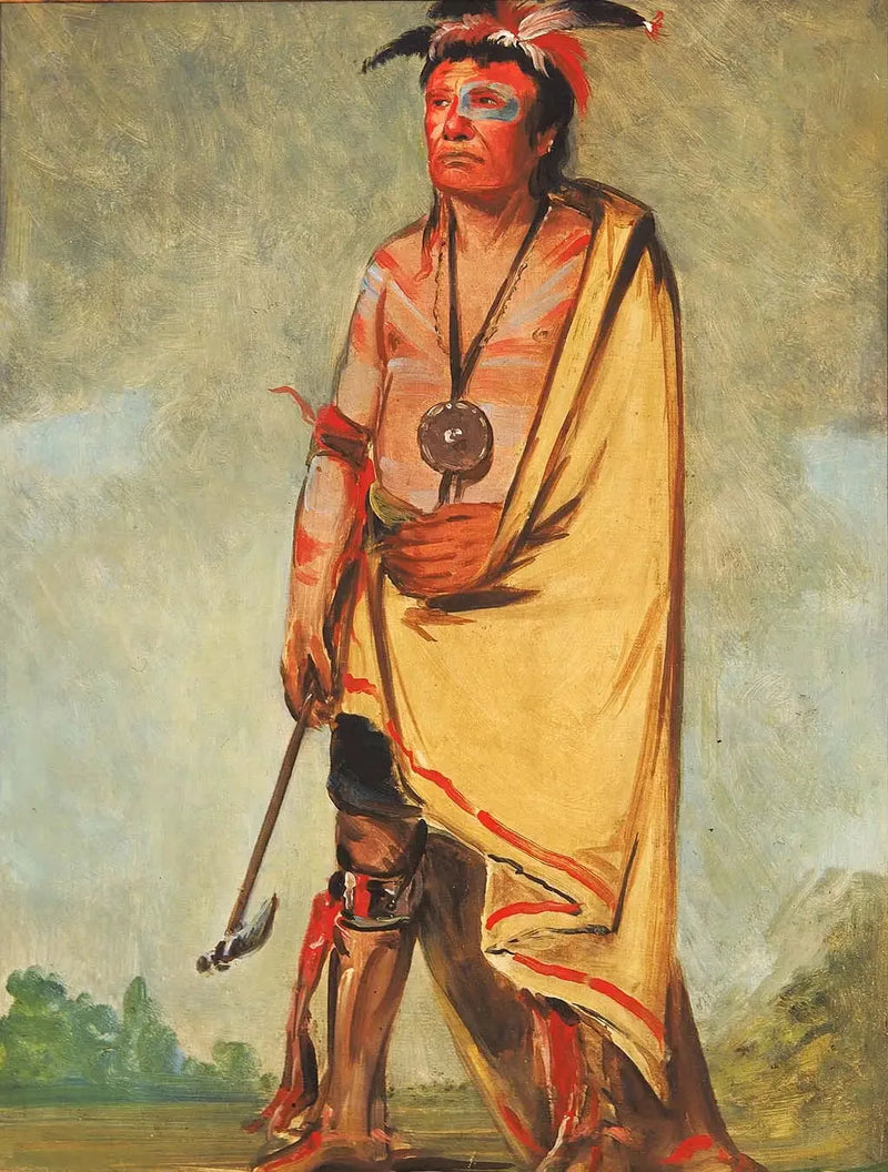 No-ak-chóo-she-kaw, Hän, joka murskaa pensaikot - George Catlin