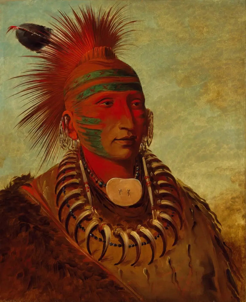 No-ho-mun-ya, Hän, joka ei kiinnitä huomiota - George Catlin
